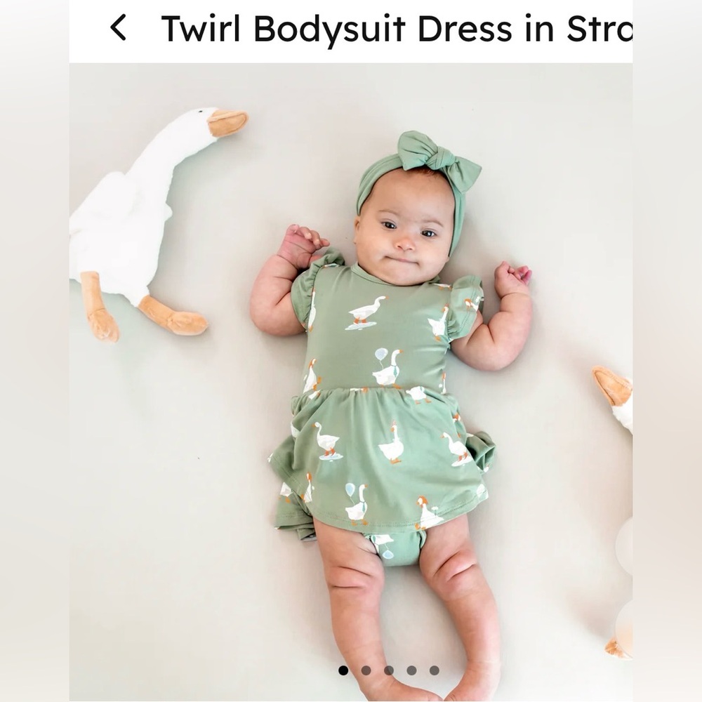 Kyte Baby Twirl Bodysuit Dress 0-3 months silly goose print - NEVER WORN